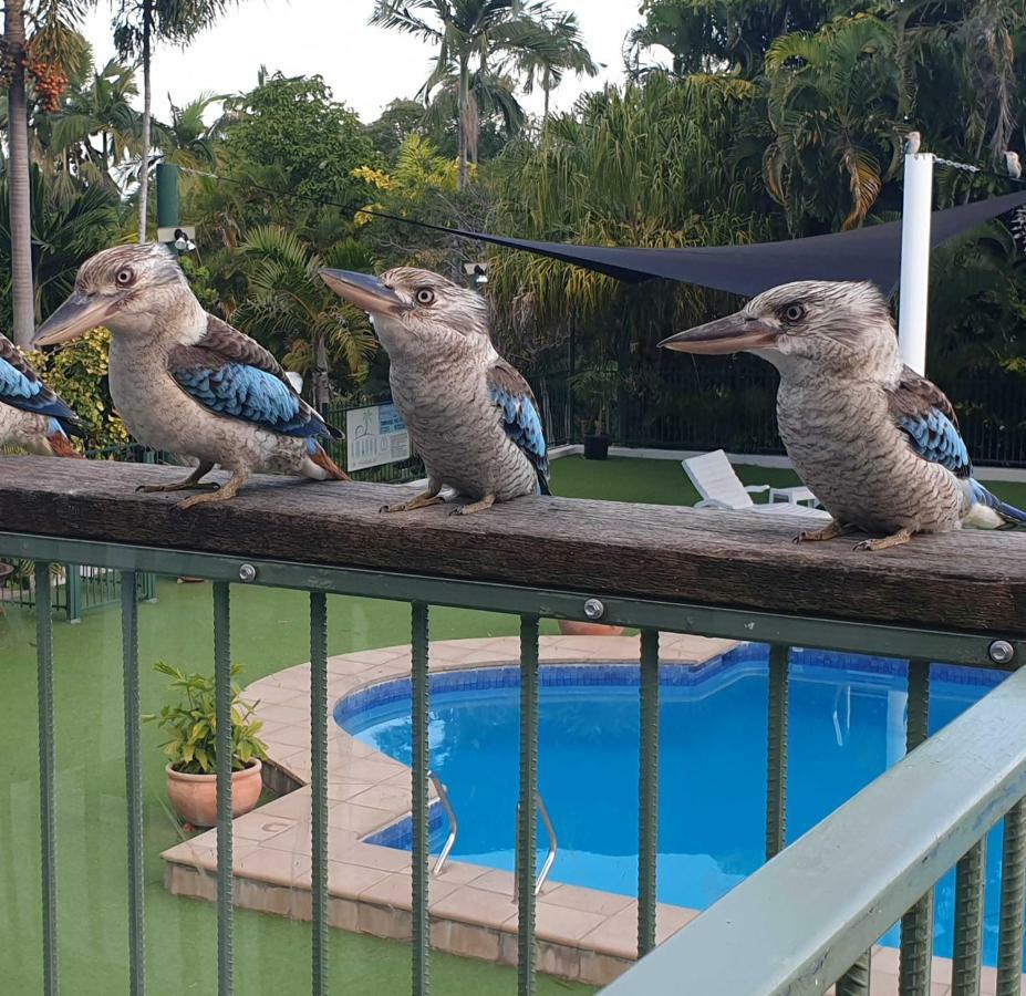 Magnetic Island Resort, Sleeps 3, Free Wifi Nelly Bay Extérieur photo